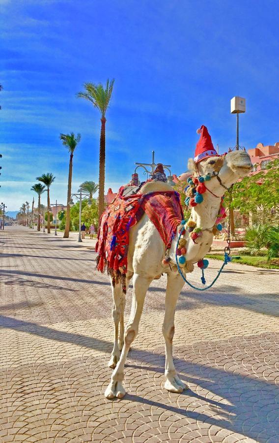 The Touristic Promenade Apartment Hurghada Buitenkant foto